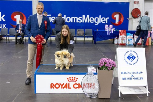 Beste Brace søndag.jpg